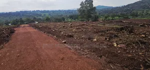 Become Victorius by Owning a Titled Plot at Gobero Along Hoima Rd