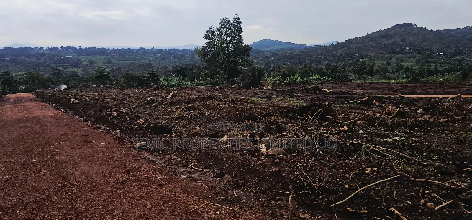 Become Victorius by Owning a Titled Plot at Gobero Along Hoima Rd