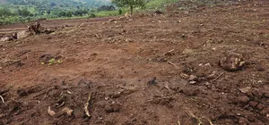 Nice Plots -Fair Prices ( Kakiri Gobero )