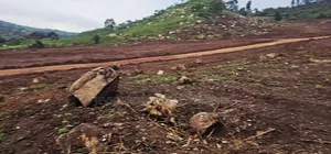 Nice Plots -Fair Prices ( Kakiri Gobero )