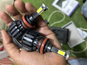 Harzart Bulbs