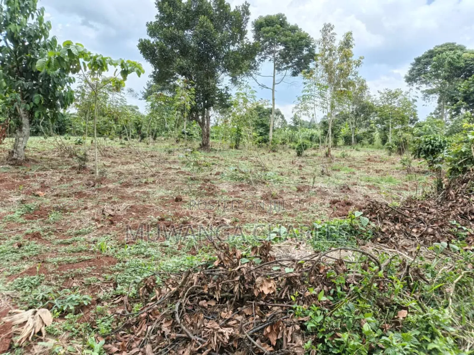Land on Sale in Gayaza Road Janda