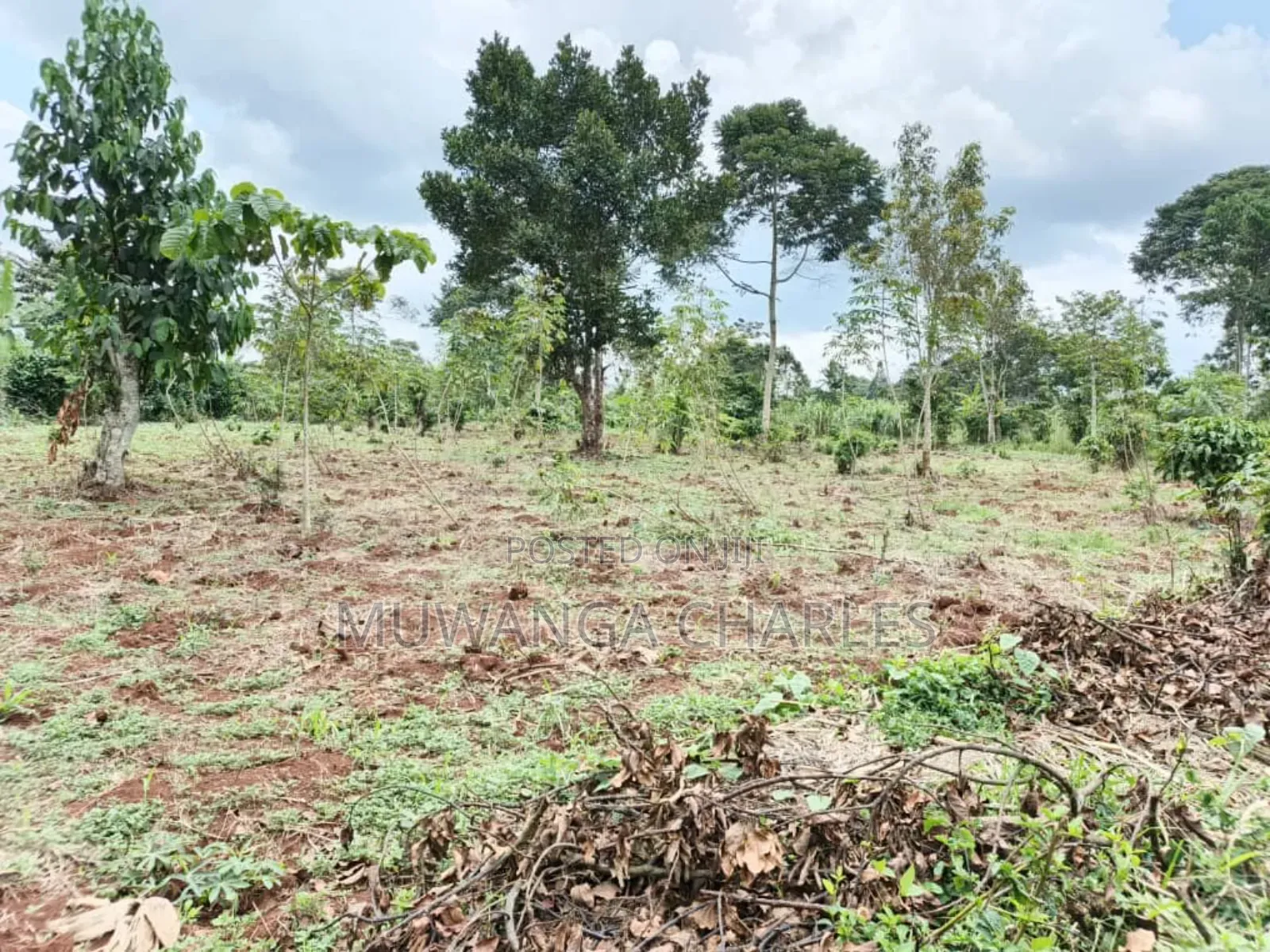 Land on Sale in Gayaza Road Janda