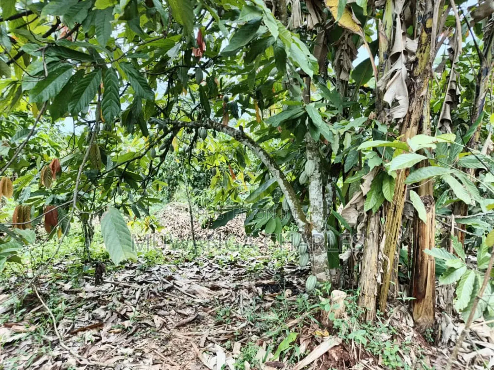 Land on Sale in Gayaza Road Janda