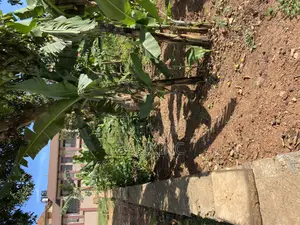 Land for Sale Along Ntinda Kisasi Road