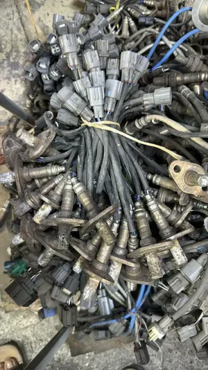 Oxygen Sensors Fr All Cars