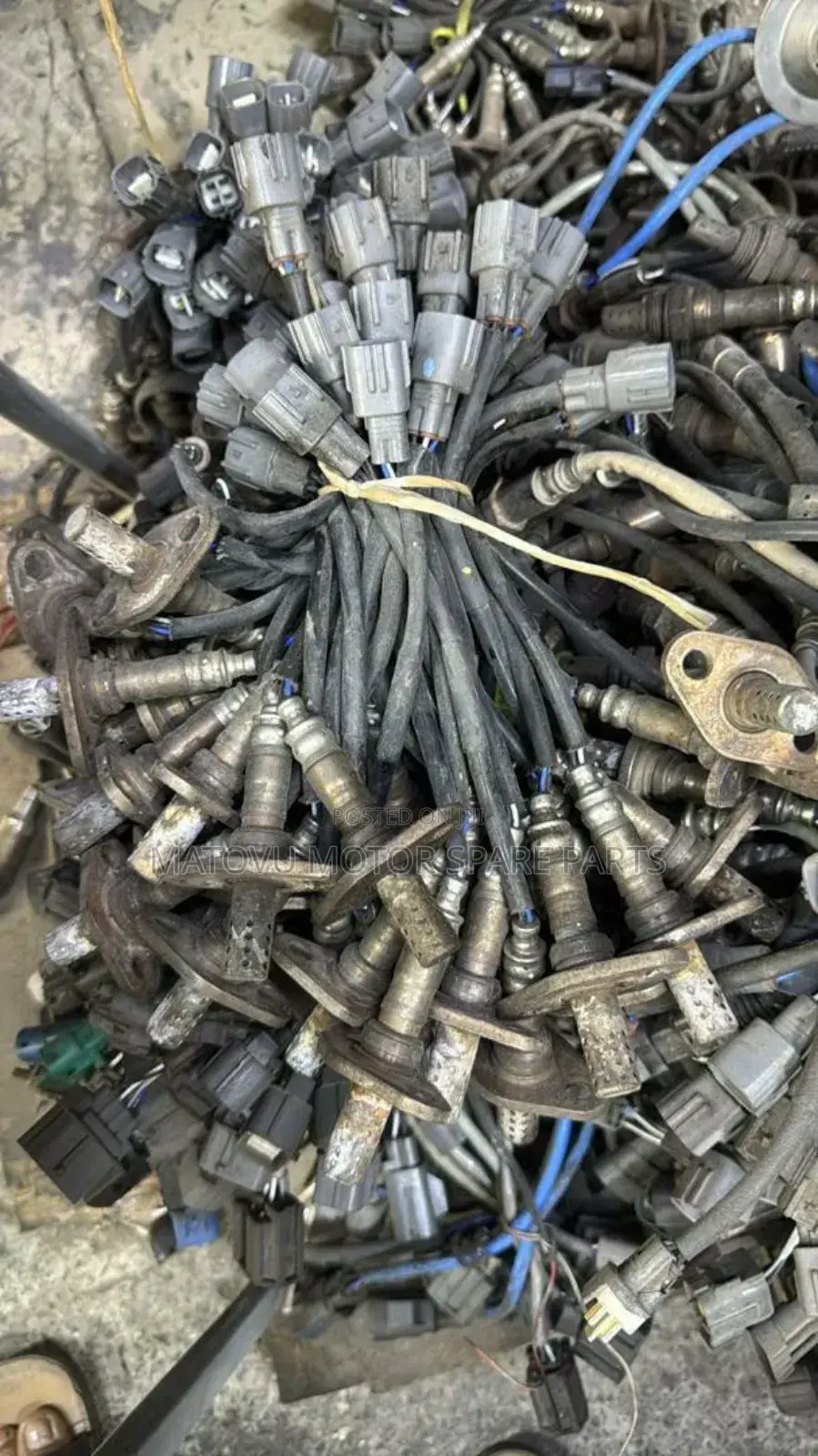 Oxygen Sensors Fr All Cars