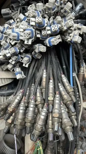 Oxygen Sensors Fr All Cars