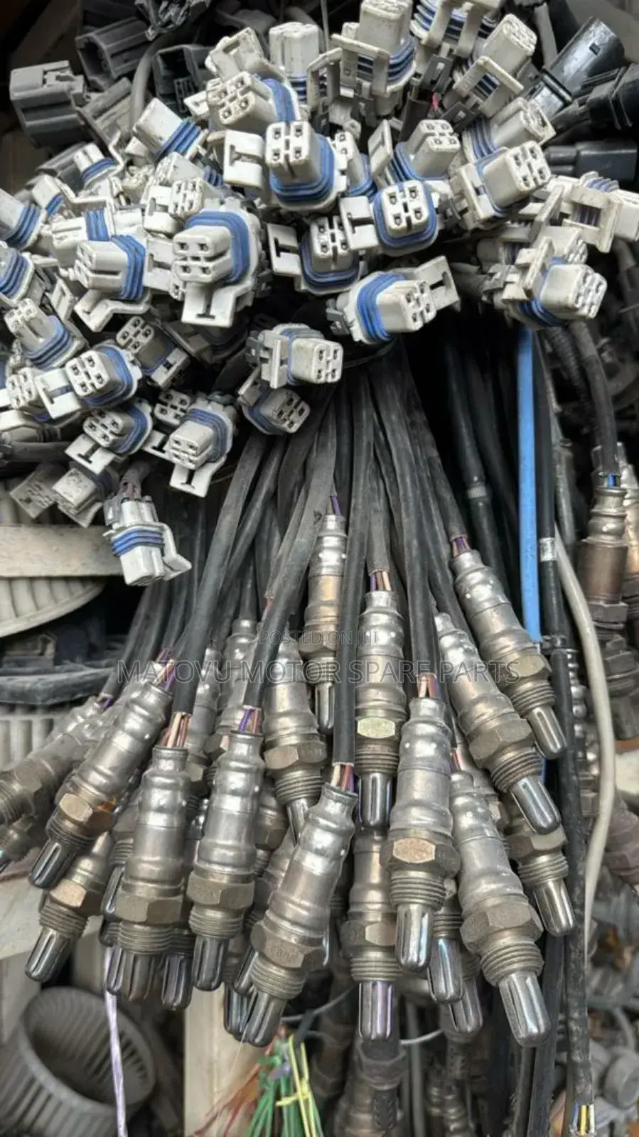 Oxygen Sensors Fr All Cars