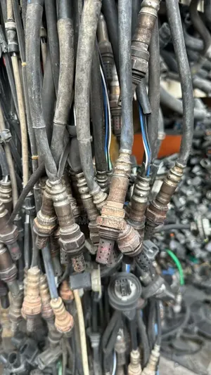 Oxygen Sensors Fr All Cars