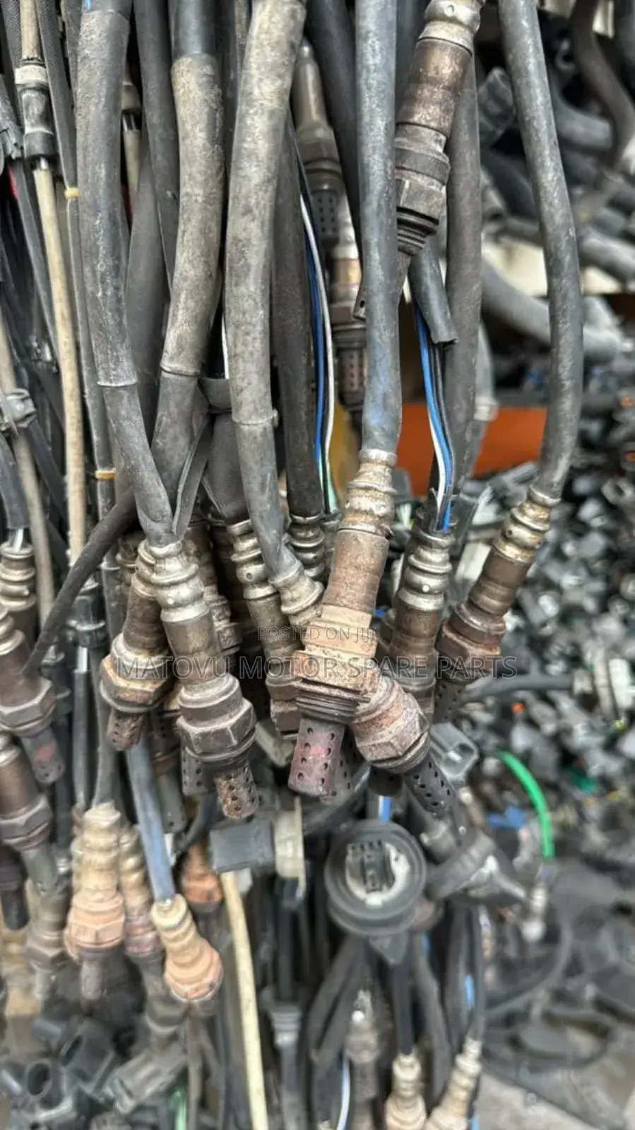Oxygen Sensors Fr All Cars