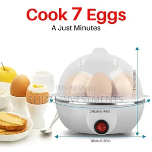 Multifunction Mini Egg Boiler