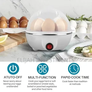 Multifunction Mini Egg Boiler
