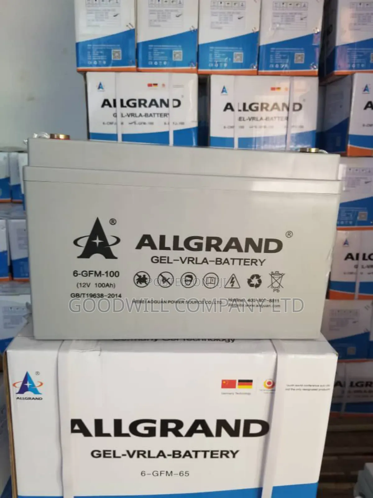 100ah Allgrand Pure Gel Battery Gel6690