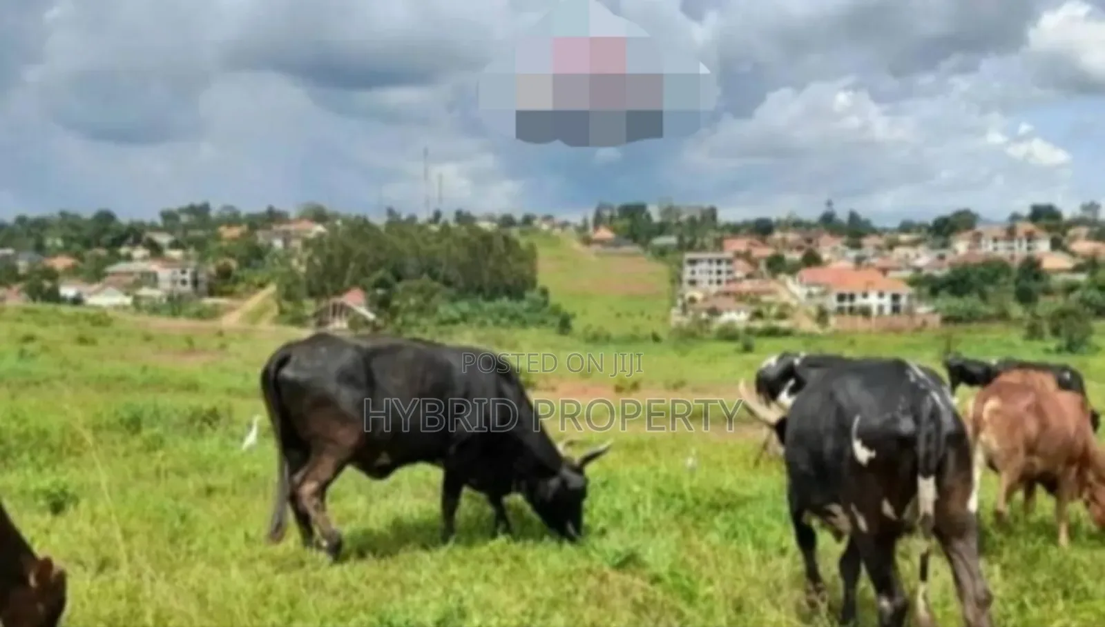 Prime Plots For Sale At Namugongo~Sonde [Mukono District]