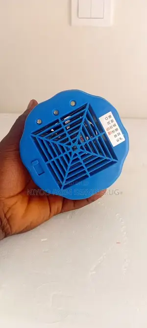 Brooder Fun