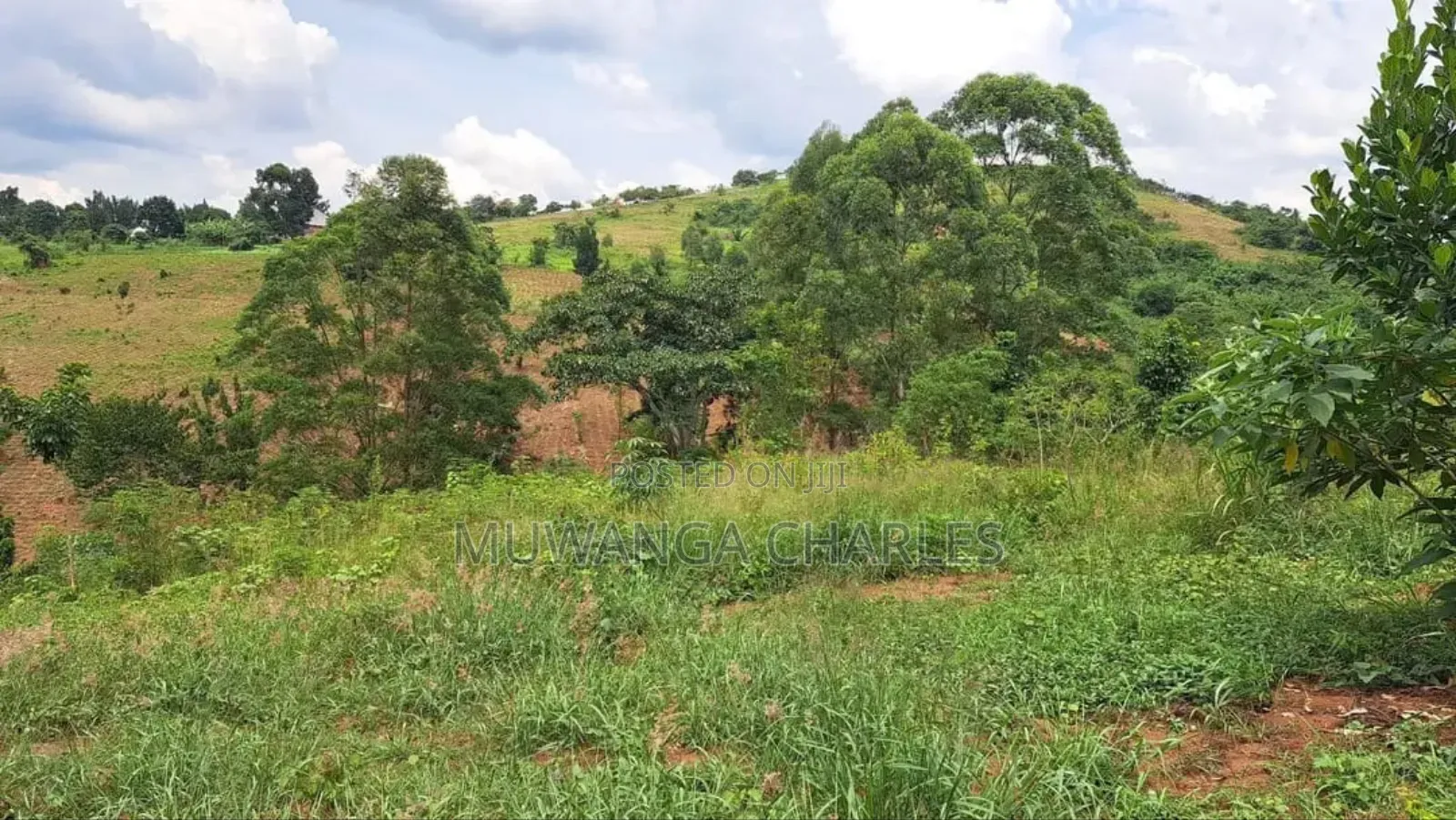 Land for Sale in Kalule Bombo Road