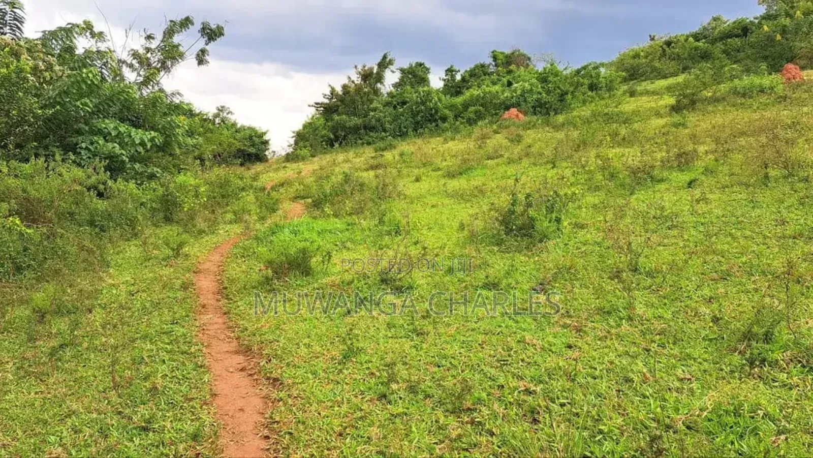 Land for Sale in Kalule Bombo Road