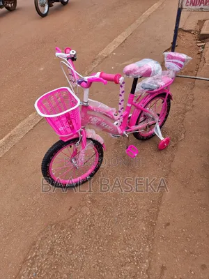 Super Kids Bike/Sensational/16