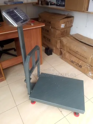 High Precision Weighing Scale 400kg Weigh Digital Weighing Scale