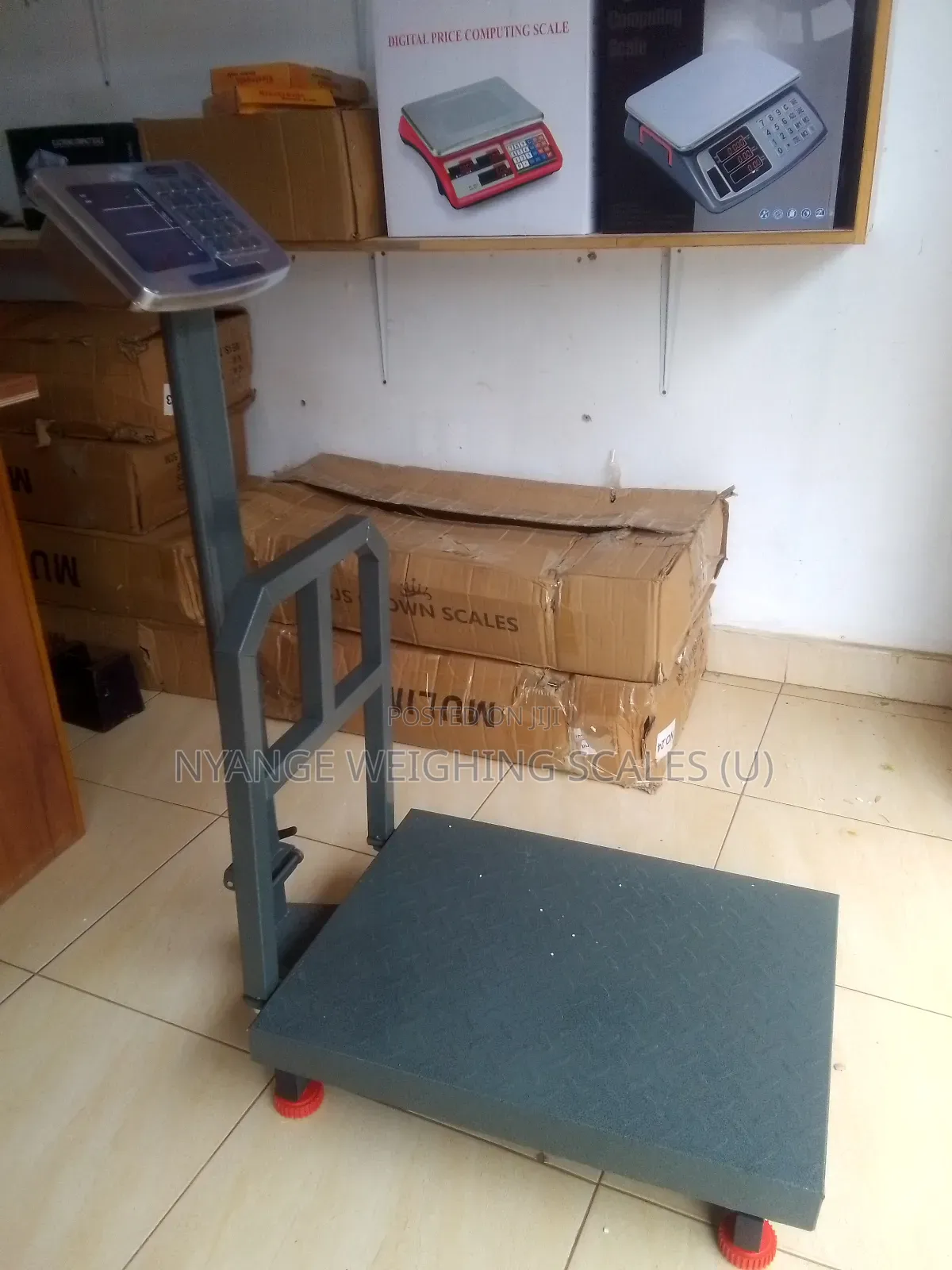 High Accuracy S.J.S Crown Weighing Scale 400kgweigh Weighing Scale