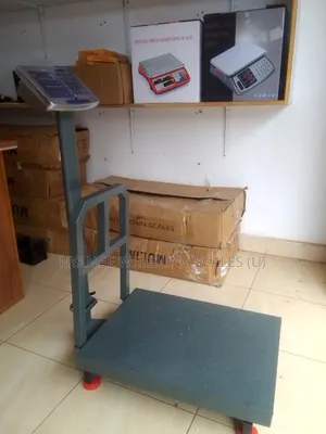 Stainless Steel Weigh Indicator 400kg Weigh Digital Weighing Scale