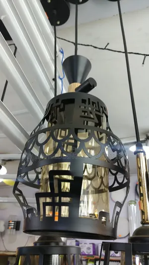 Home Pendant Lamp/Hanging Lamp/Ceiling Light for Bedroom, Living Room