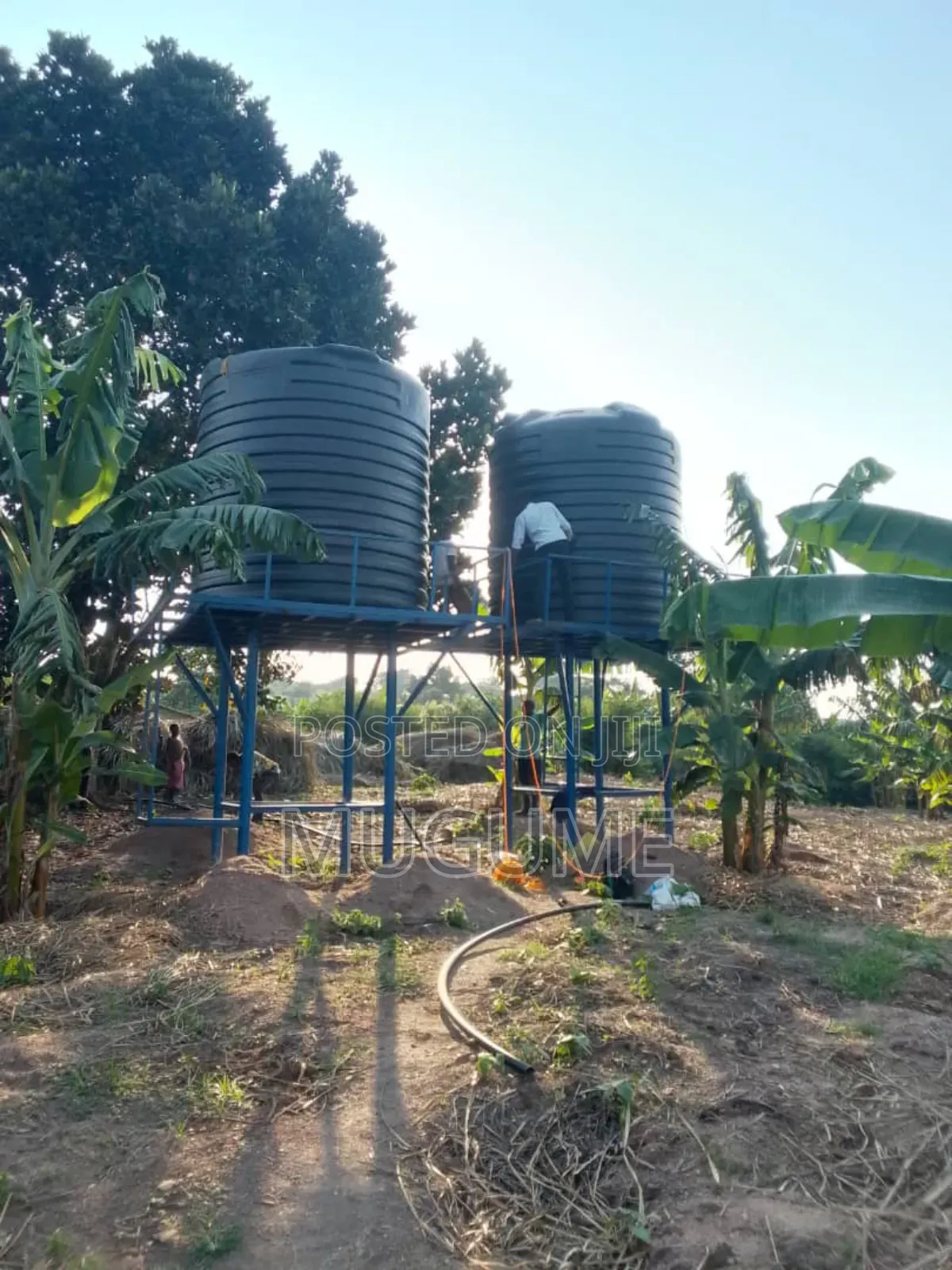 Irrigation