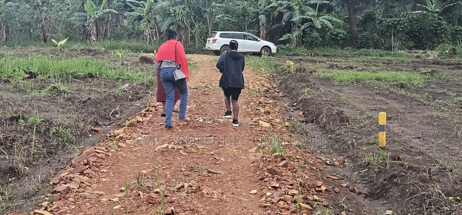 Prices of These Plots of Land at Namayumba -Will Suprise You