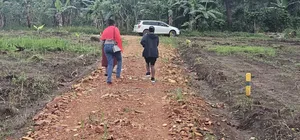 Prices of These Plots of Land at Namayumba -Will Suprise You
