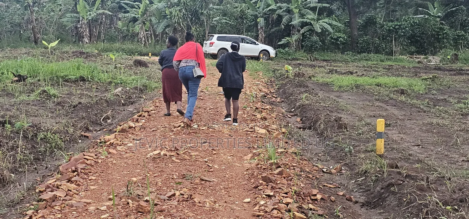 Prices of These Plots of Land at Namayumba -Will Suprise You