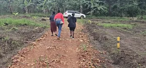 Prices of These Plots of Land at Namayumba -Will Suprise You