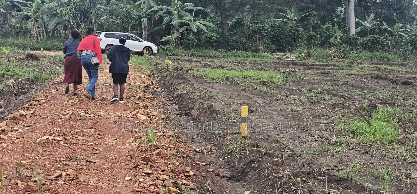 Prices of These Plots of Land at Namayumba -Will Suprise You