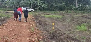 Prices of These Plots of Land at Namayumba -Will Suprise You