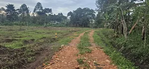 Prices of These Plots of Land at Namayumba -Will Suprise You