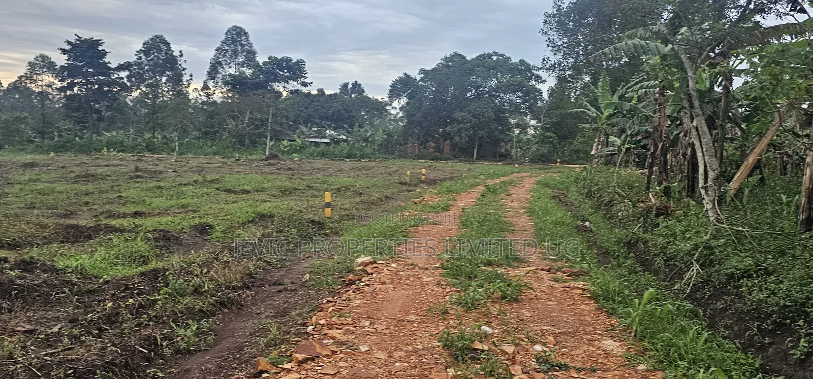 Prices of These Plots of Land at Namayumba -Will Suprise You