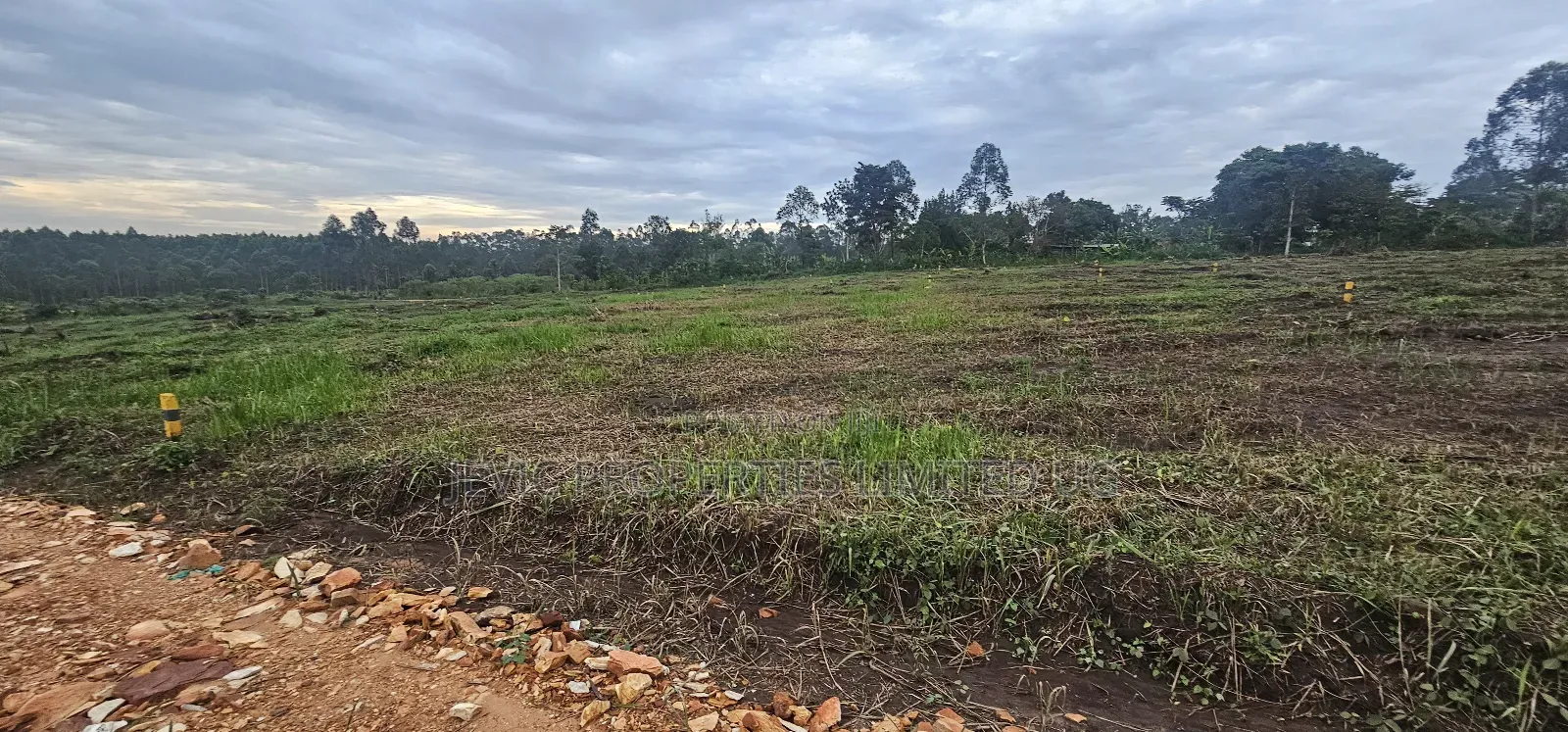 Price Drops on These Plots at Namayumba by 40 % Get the Offer Now .