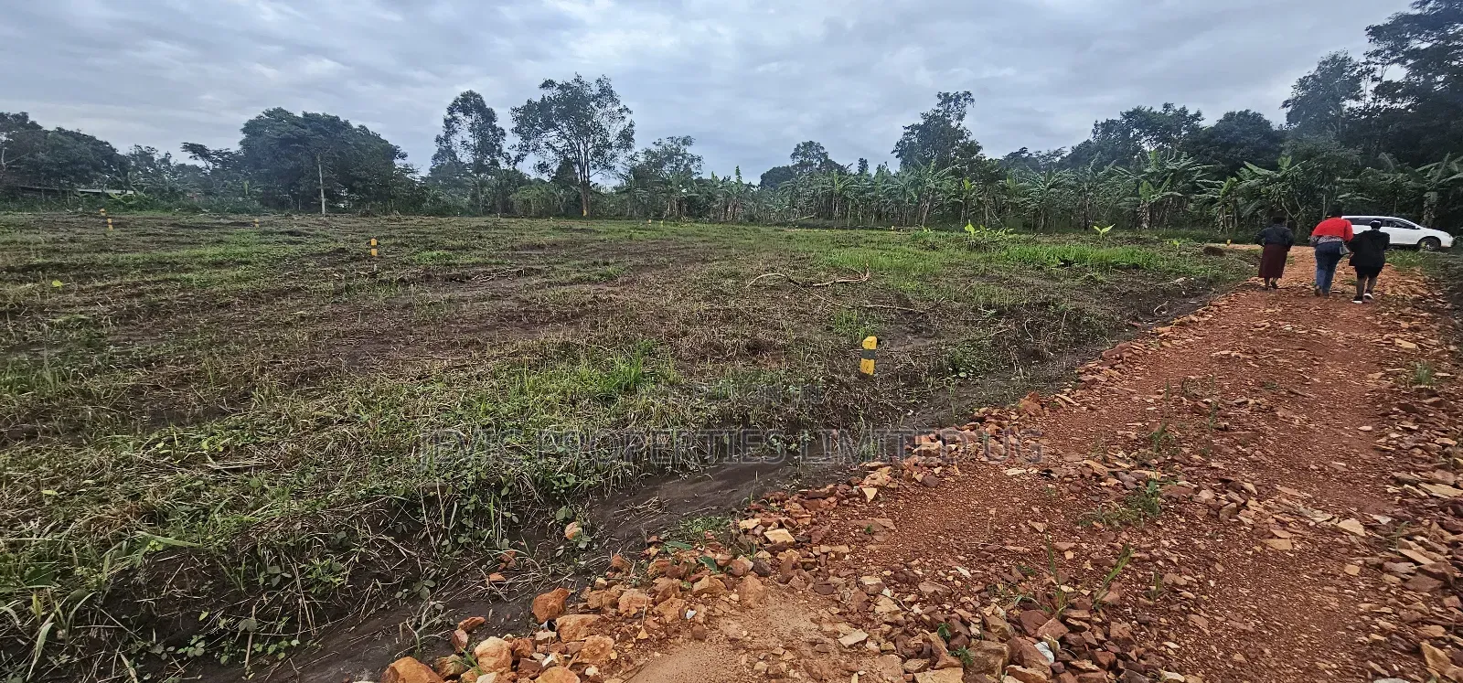 Price Drops on These Plots at Namayumba by 40 % Get the Offer Now .