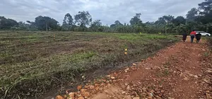 Price Drops on These Plots at Namayumba by 40 % Get the Offer Now .