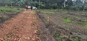 Price Drops on These Plots at Namayumba by 40 % Get the Offer Now .