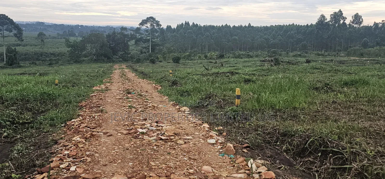 Price Drops on These Plots at Namayumba by 40 % Get the Offer Now .