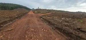 First Look At This Gobero Estate - The Land Will Suprise You Prices