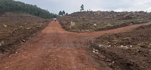 First Look At This Gobero Estate - The Land Will Suprise You Prices