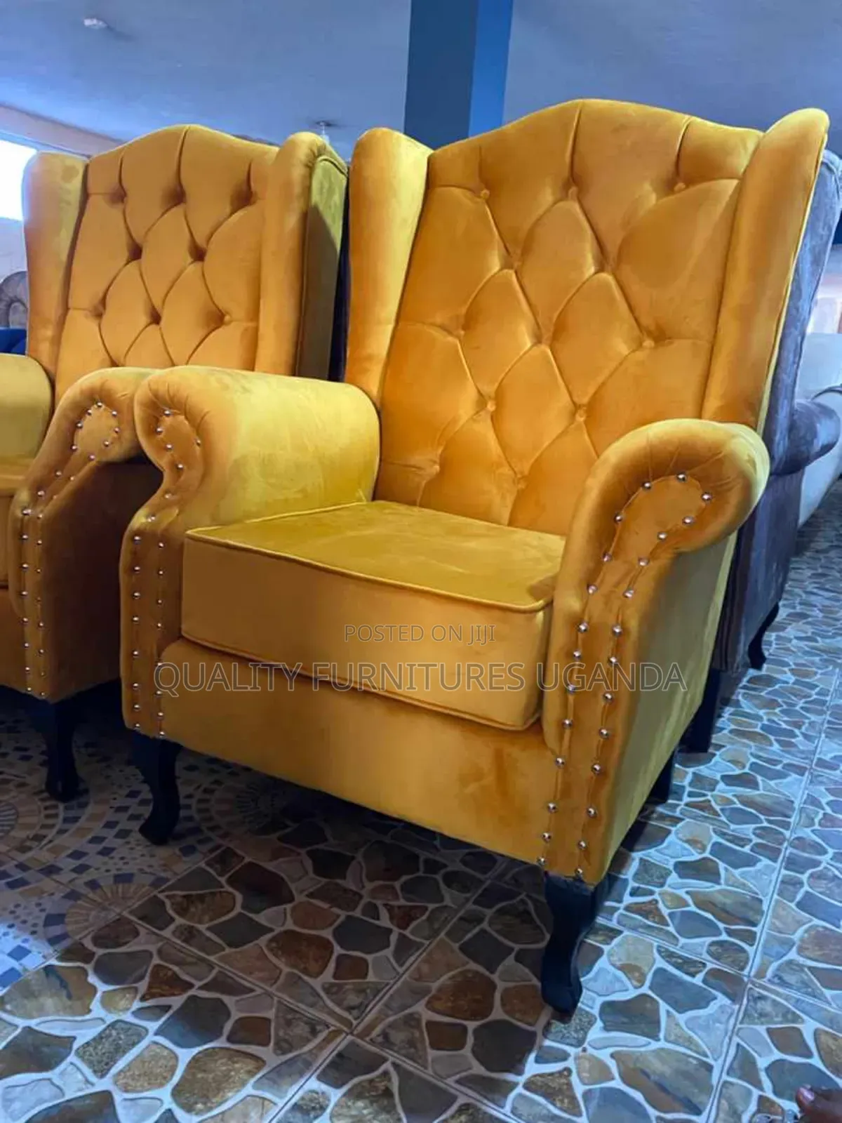 Mastered Yellow  Seaters