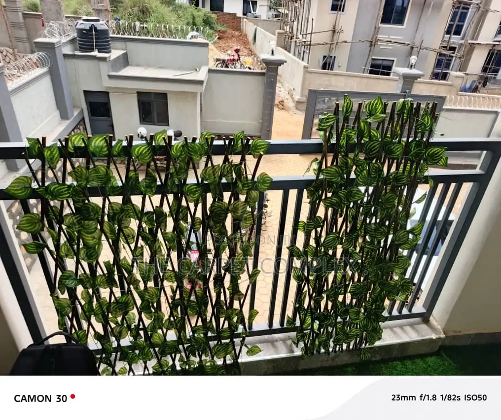Wall Decoration Plants Each Piece