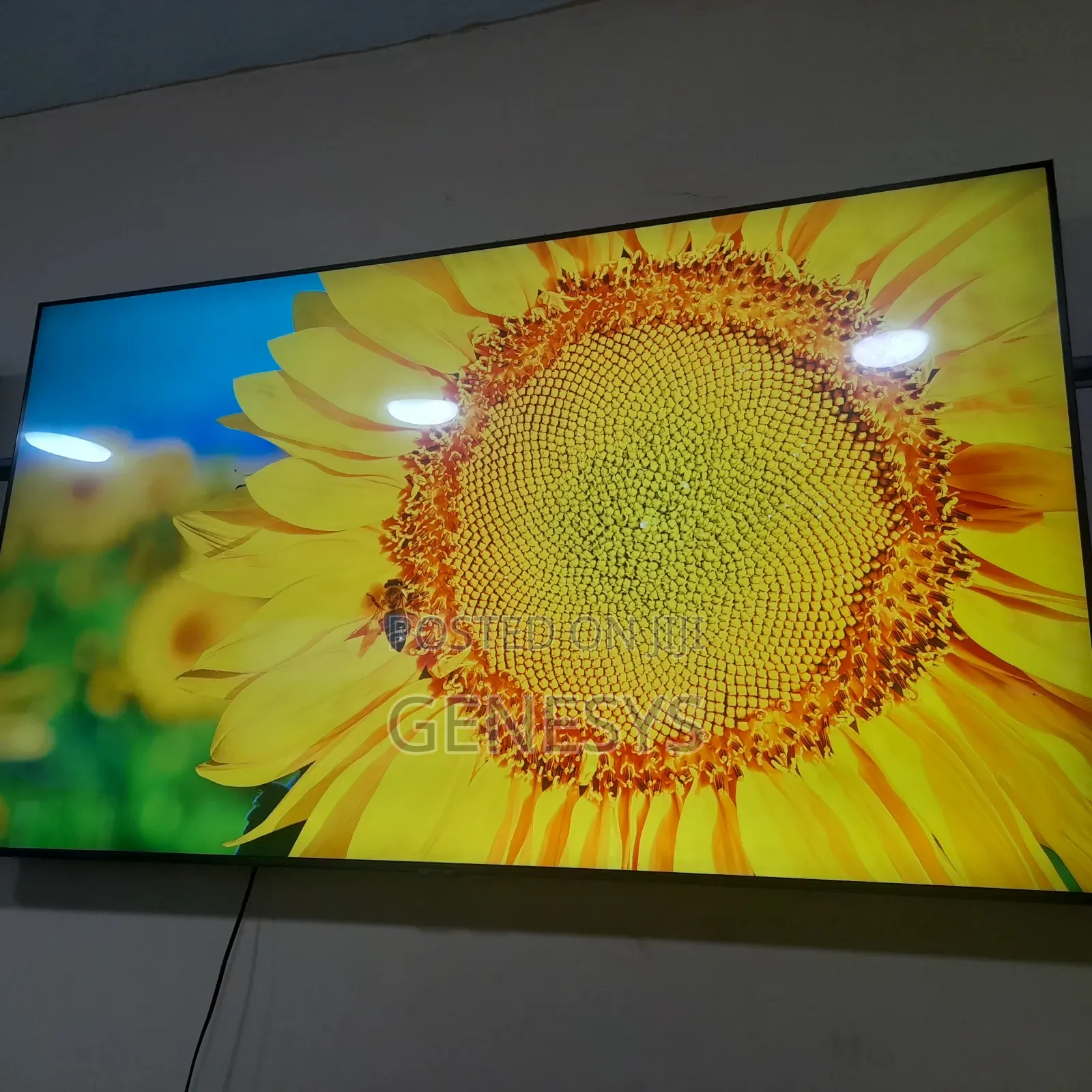 Original Samsung 6905 65 Inch OLED TV