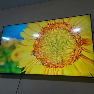 Original Samsung 6905 65 Inch OLED TV