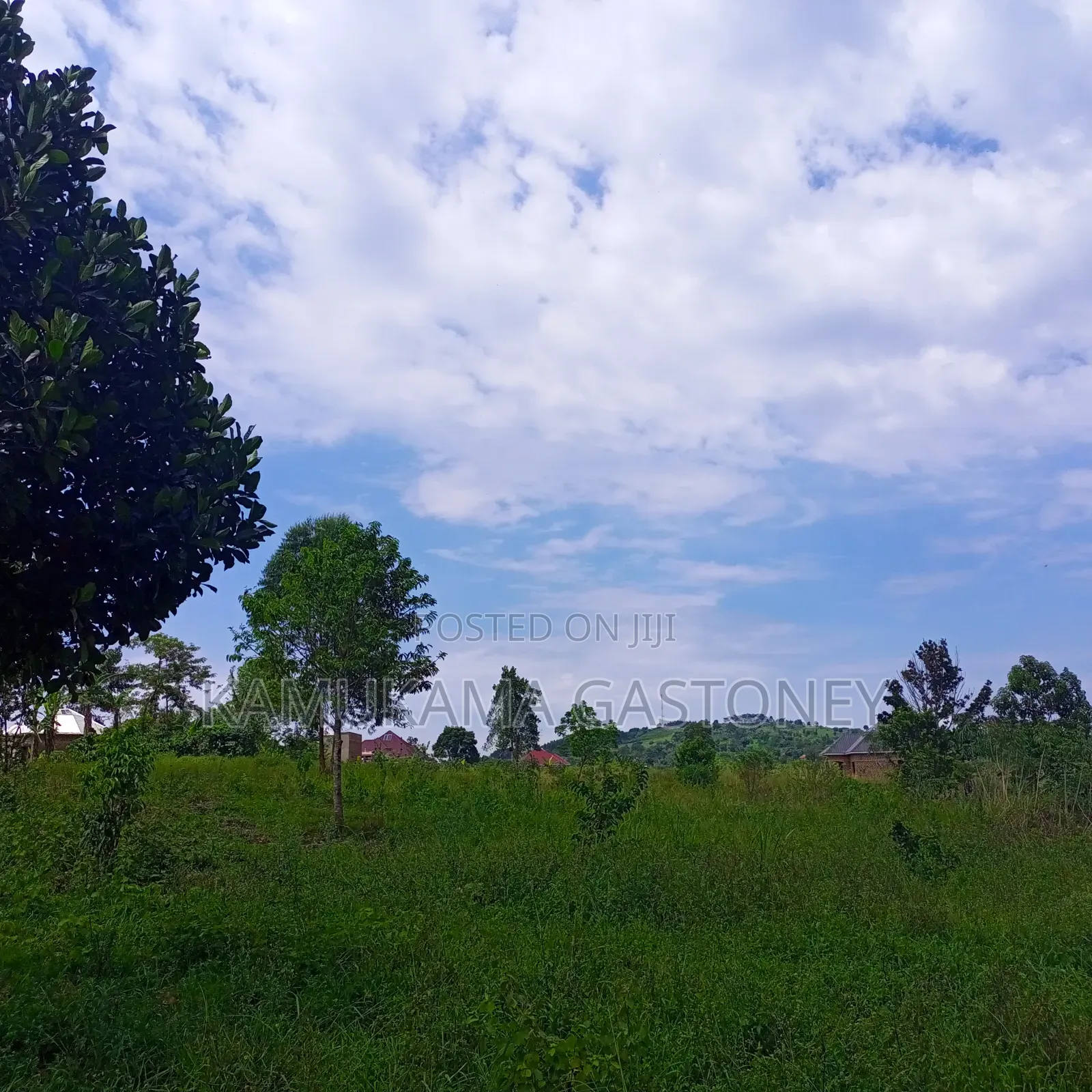 Plot of Land #Kyibanja 50x100