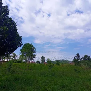Plot of Land #Kyibanja 50x100