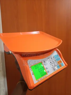 Best Price Computing Weighing Scale Weigh 40kg Digital Weighing Scale